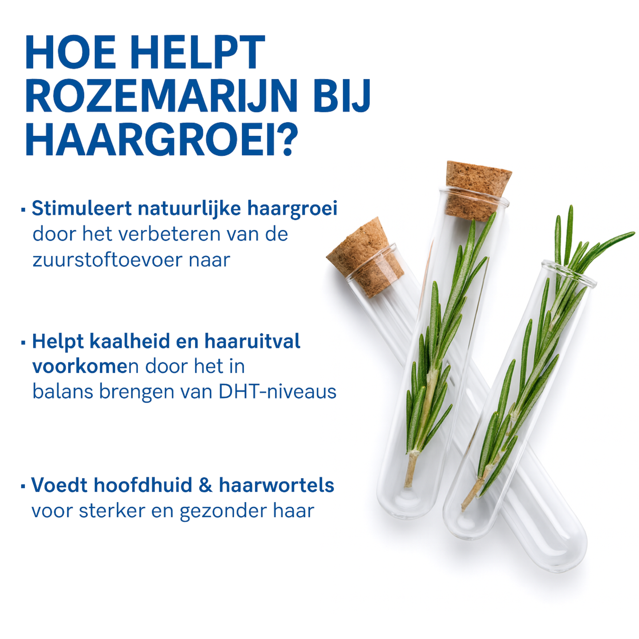Bodywise – Haargroei Serum Roll-on voor vol haar | 1 + 1 GRATIS